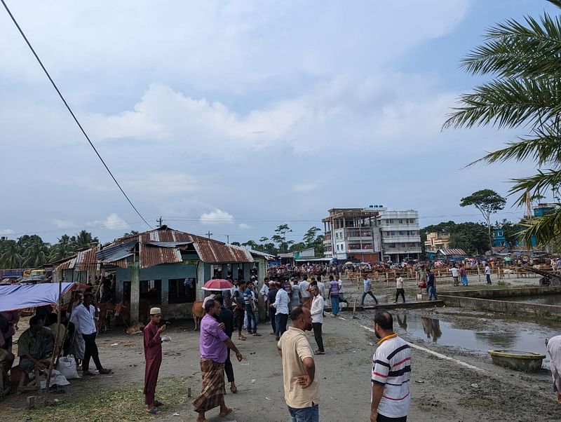 বাউফলের বড় হাটগুলোর অন্যতম ‘কালাইয়া হাট ও বাজার’। প্রতিদিন বাজার বসলেও সপ্তাহে হাট বসে সোমবার। আজ সকালে তোলা